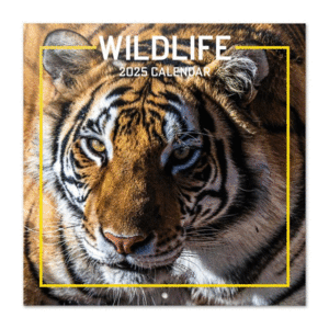 CAENDARIO 2025 WILD LIFE 30X30