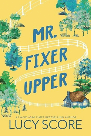 MR. FIXER UPPER