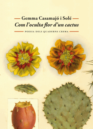 COM L'OCULTA FLOR D'UN CACTUS